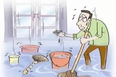 1630314790466802.jpg 640.webp (1).jpg