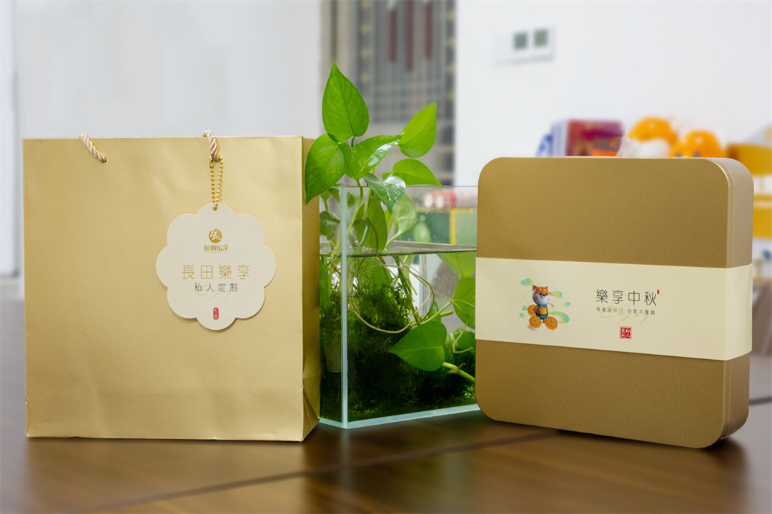 1632103565621360.jpg 233_副本.jpg