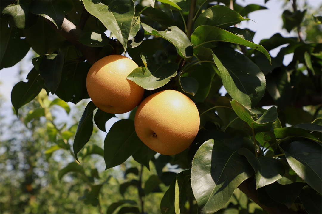 1662426110973258.jpg 微信圖片_20220906090028.jpg